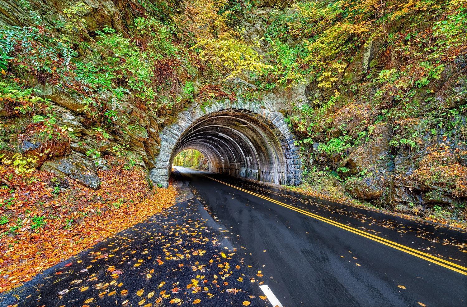 Time To Cuddle, Wifi, Near Pigeon Forge, 1089 Free Tickets Each Paid Day, Dollywood And More Εξωτερικό φωτογραφία