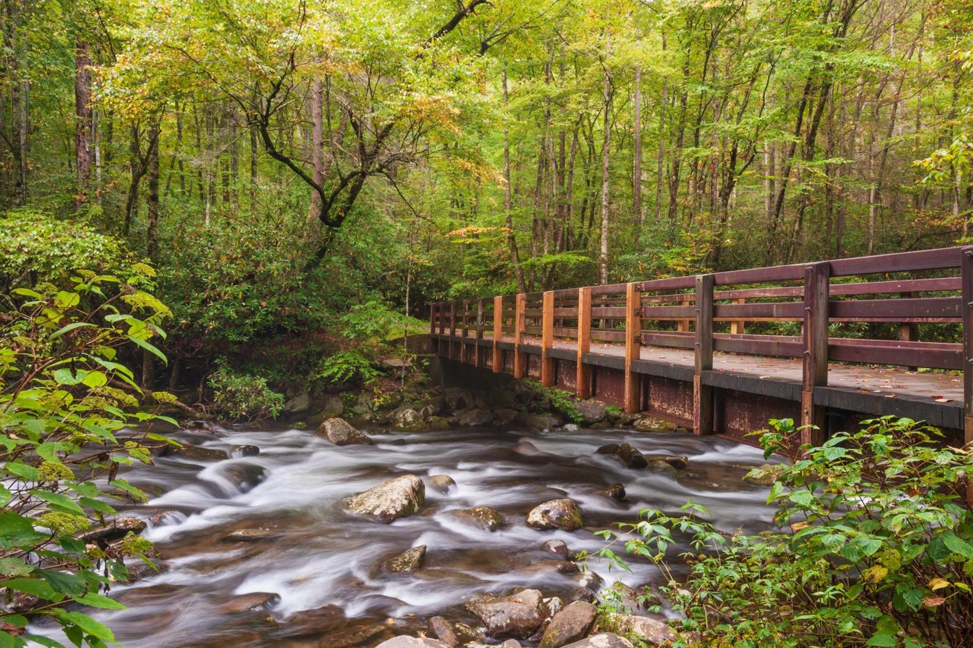 Time To Cuddle, Wifi, Near Pigeon Forge, 1089 Free Tickets Each Paid Day, Dollywood And More Εξωτερικό φωτογραφία