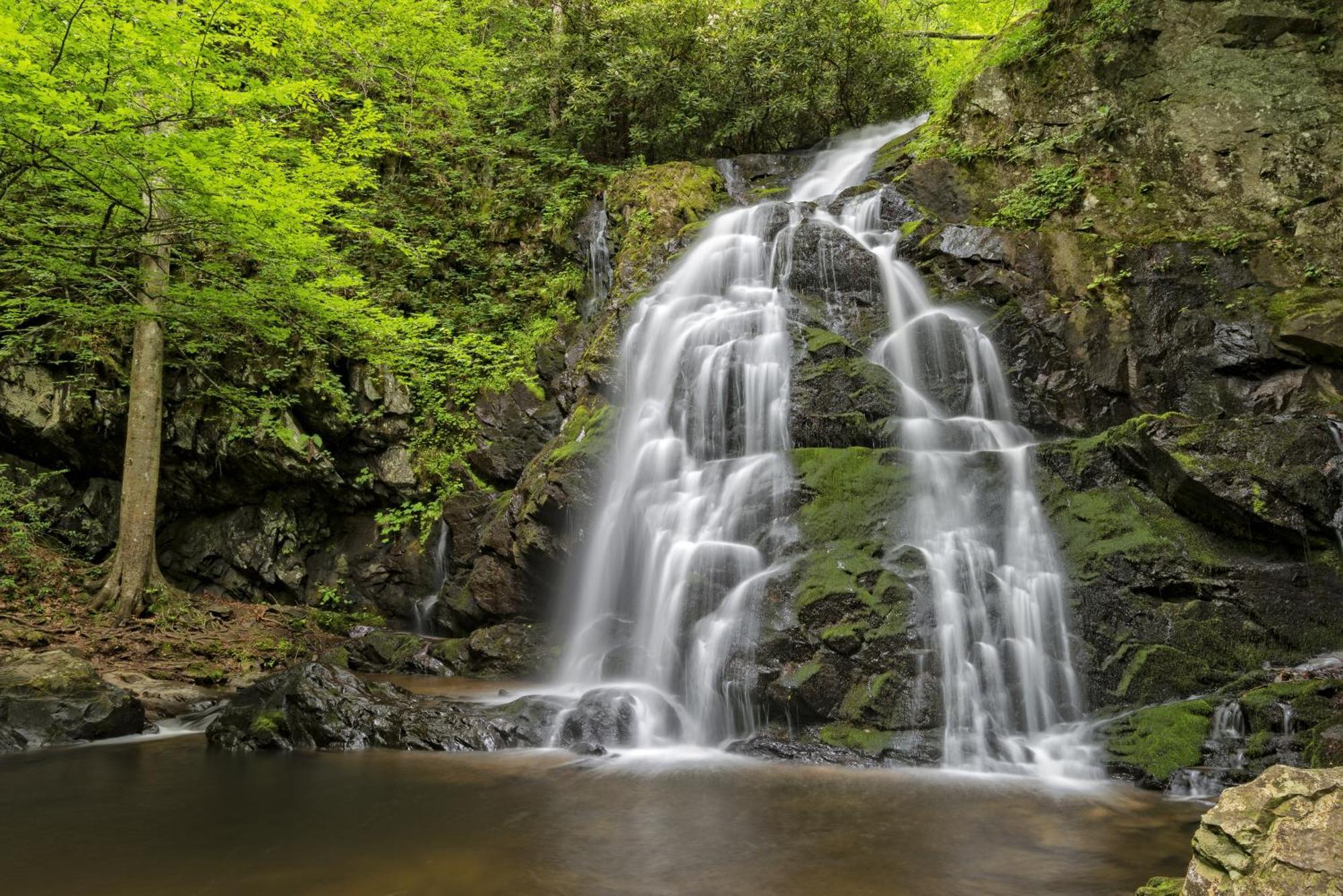 Time To Cuddle, Wifi, Near Pigeon Forge, 1089 Free Tickets Each Paid Day, Dollywood And More Εξωτερικό φωτογραφία