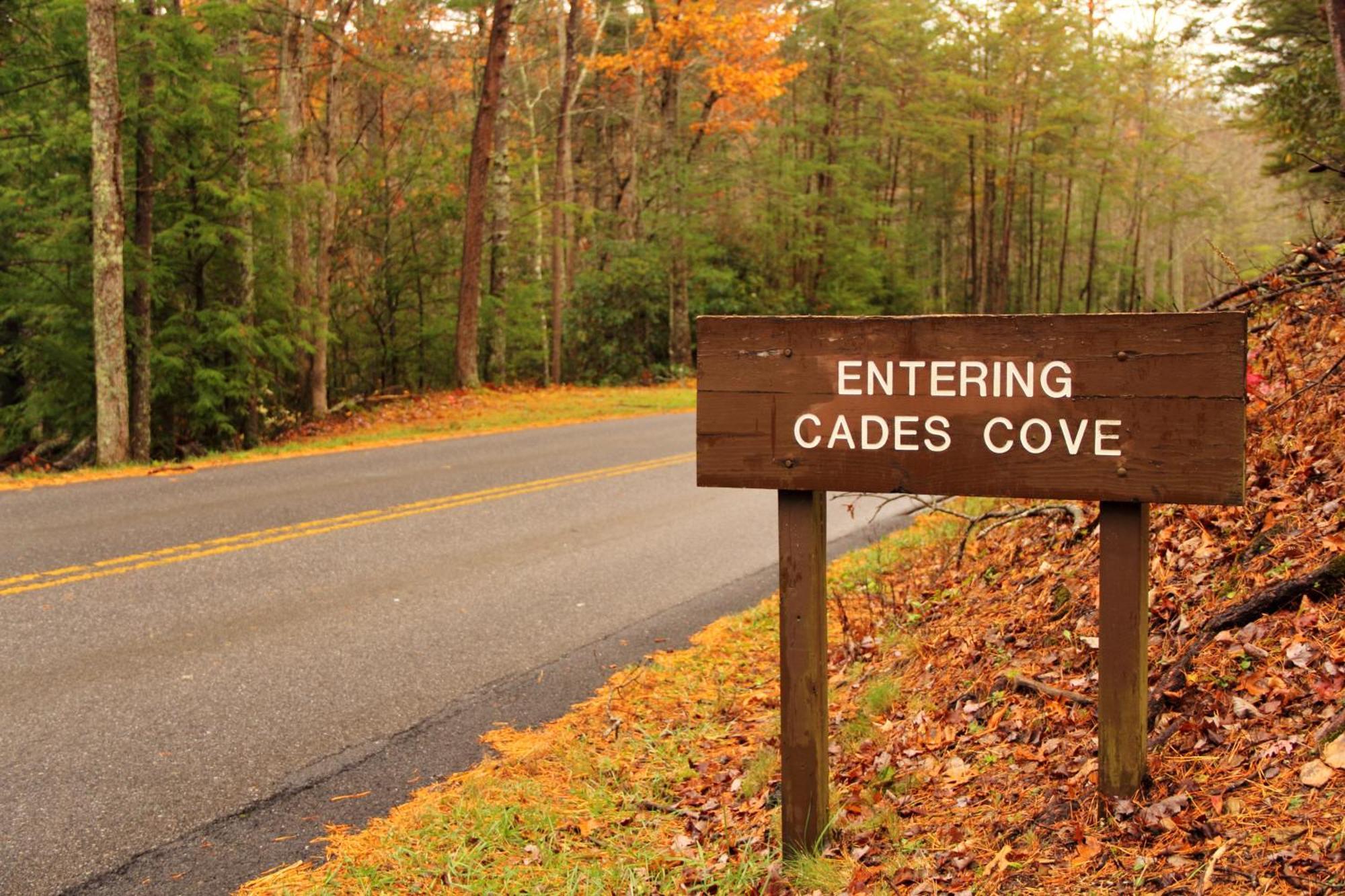 Time To Cuddle, Wifi, Near Pigeon Forge, 1089 Free Tickets Each Paid Day, Dollywood And More Εξωτερικό φωτογραφία